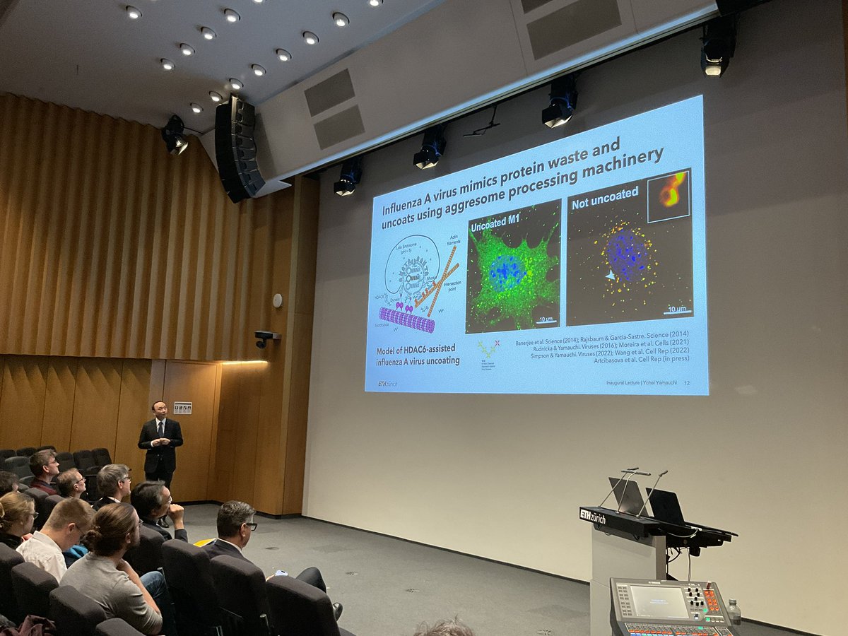 D-CHAB (@eth_dchab) on Twitter photo And here we go - this is how the entry of the influenza virus looks like. But the virus has even more stunning tricks - it uses, for instance, the host cell's waste disposal system to break down its capsid as Yamauchi <a href="/YamauchiLab/">Yohei Yamauchi</a> explains. And here we go - this is how the entry of the influenza virus looks like. But the virus has even more stunning tricks - it uses, for instance, the host cell's waste disposal system to break down its capsid as Yamauchi <a href="/YamauchiLab/">Yohei Yamauchi</a> explains.