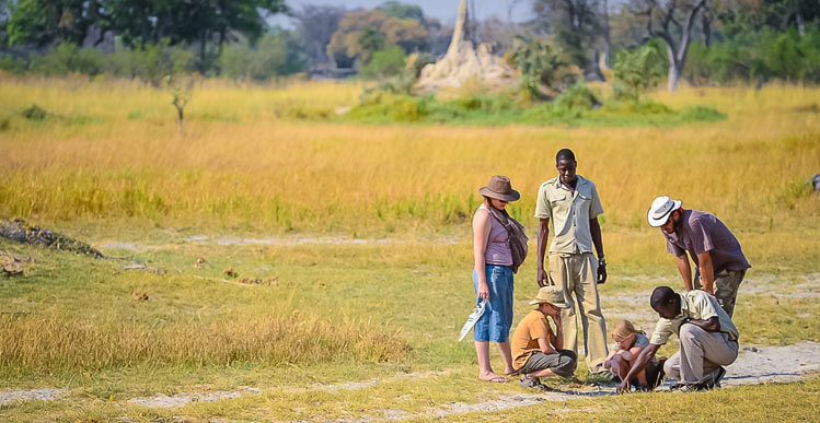 MySafaris's tweet photo. 8 Days Tanzania Family Safari

Tanzania is often lauded as one of Africa’s friendliest countries and, with regards to family safaris, this is certainly the case. 

https://t.co/2R9FZuYU2e

#Tanzania #Safari #Africa #mypriceafricaadventures https://t.co/SV2xwQ0sFa