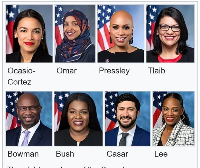 RickyDoggin's tweet photo. They Sided With Hamas - They Should Be Removed From Congress https://t.co/7owwgxdsly