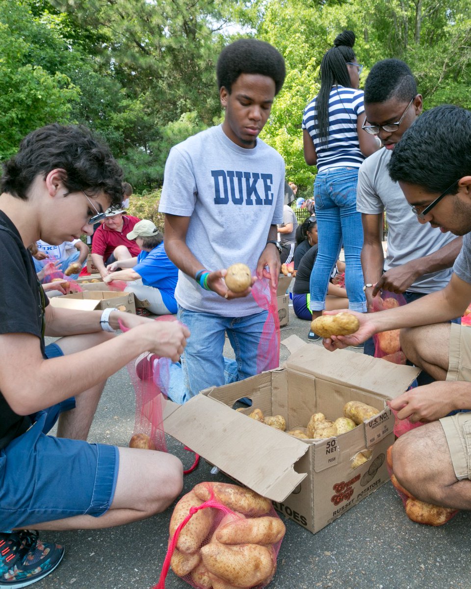 Duke Admissions tweet media