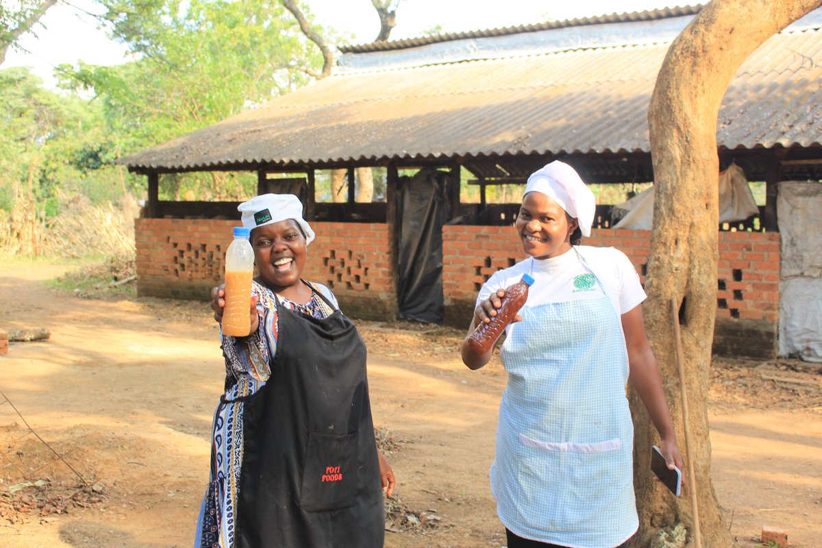 Fambidzanai Permaculture Centre ZWE tweet media