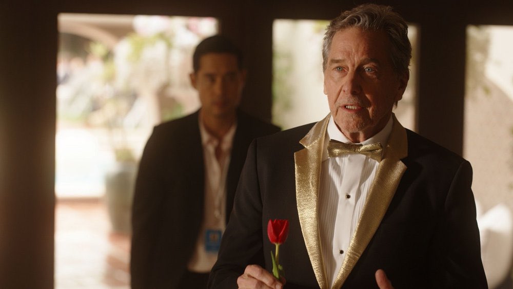 Kristy Lowrey tweet media