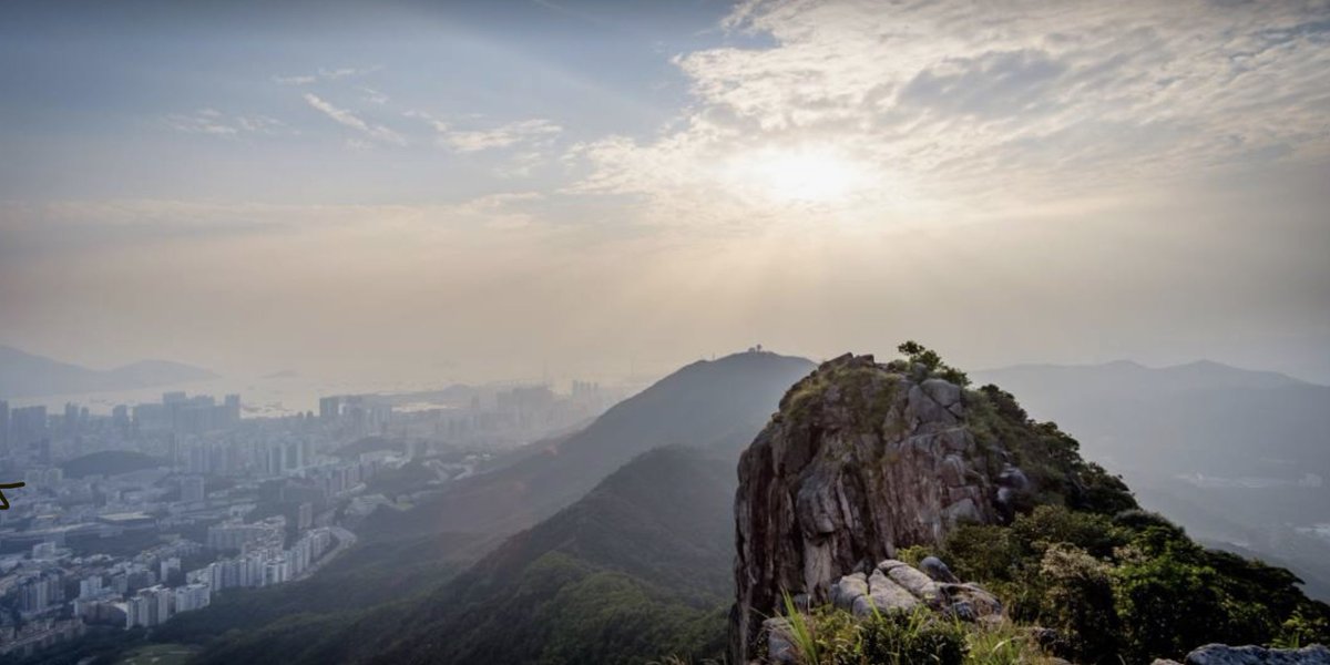 Chris Lee tweet media