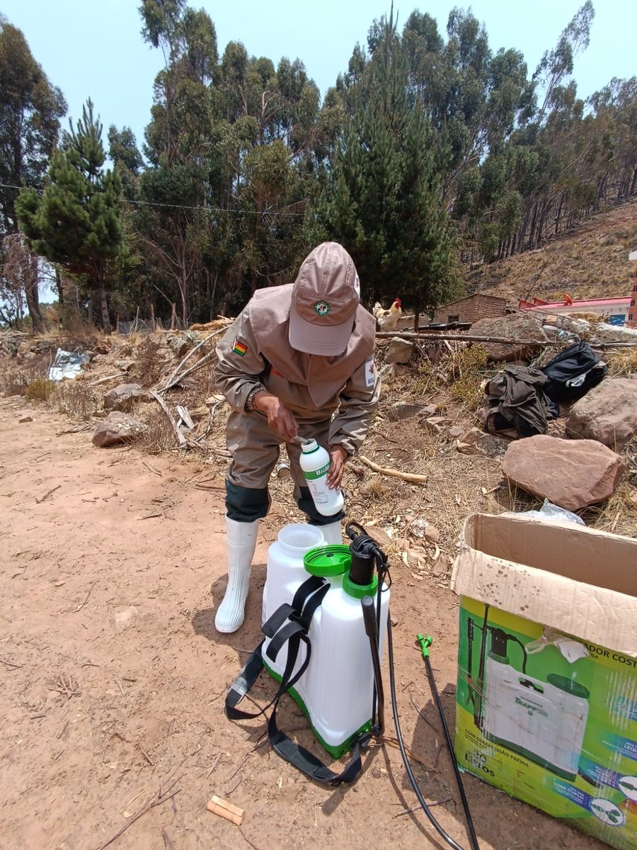 SenasagBolivia's tweet photo. #LaPaz
🇧🇴⚙️SENASAG, a través del Proyecto #GranosAndinos MDRyT realizó la aplicación de bioinsumos en parcelas productivas de beneficiarios del #ProgramaGranosAndinos del cultivo de #Tarwi en la comunidad de #Lojrocachi_Norte del municipio de #Ancoraimes. https://t.co/8uAocGyKgh