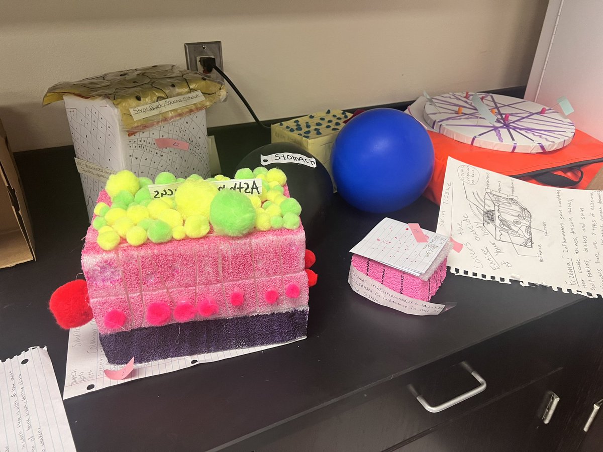 ROISDCTE's tweet photo. @rohighschool students in ANP health science created model displays of different tissues within the human body‼️🩺🩻 https://t.co/3ReC62H2yX