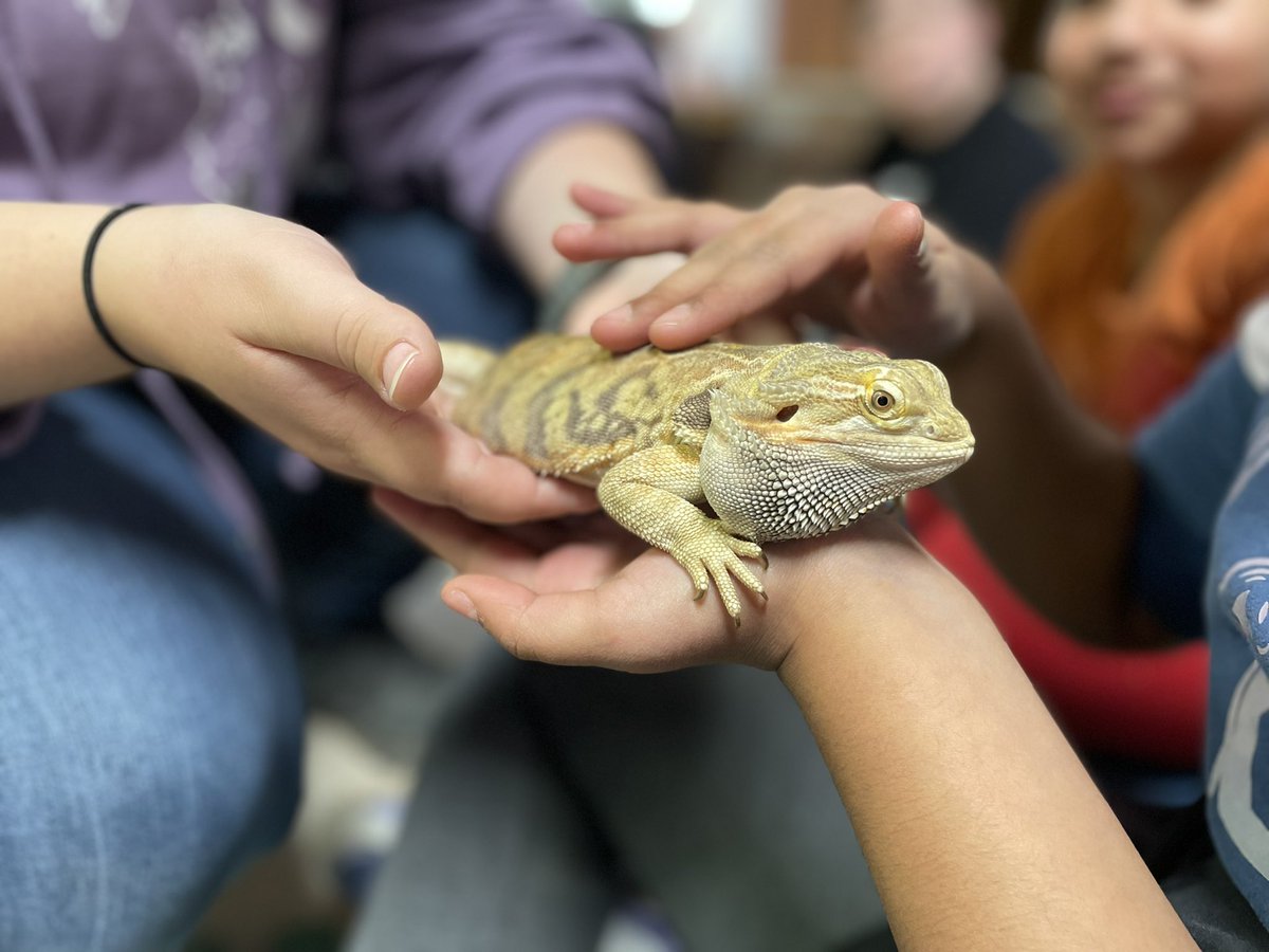 Seth Berg tweet media