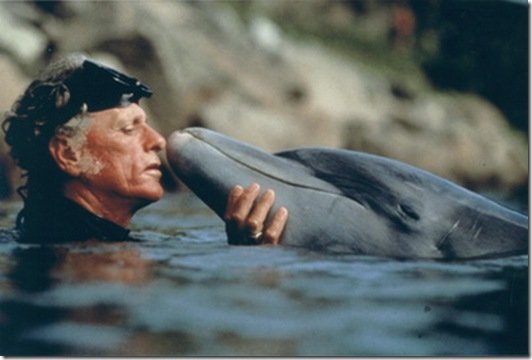 AyshahAwan's tweet photo. The general public now see dolphins as performing circus clowns, a friendly creature that is here to amuse us." Ric O’Barry
2/2
#SaveDolphins
#Dolphin_Project #DontBuyATicket
#FreeDolphins
#NoToCaptivity
#AnimalsAreNotForOurEntertainment https://t.co/NTo5aXnr9P