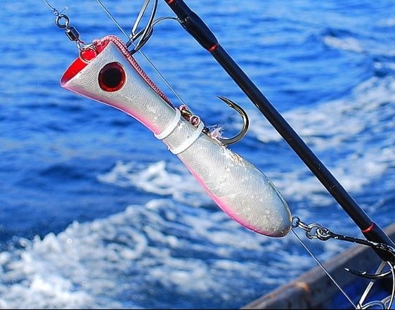 Cheerfulfisherm's tweet image. The Art of Snook Fishing with Poppers

cheerfulfisherman.com/the-art-of-sno…

#freshfishdaily #finshingrod #freshfish #fishingtrip #fishingtravel #fishingterapy #fishingcreek #fishermen #fishinglures