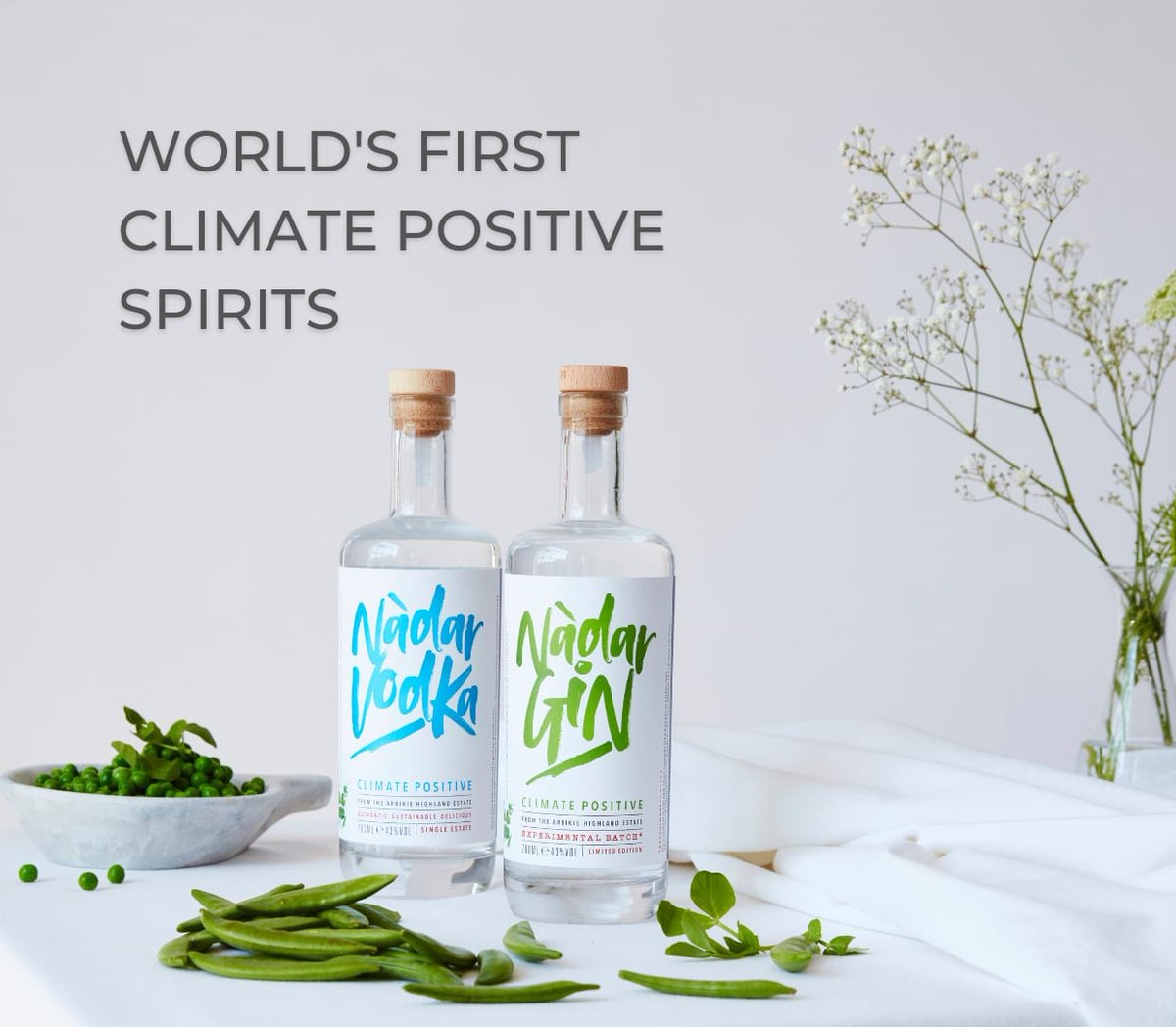 iainastirling's tweet image. Happy #worldsustainabilityday from all the team @Arbikie Distillery.

Home to Nàdar, the world’s first #climatepositive gin &amp;amp; #vodka, with a carbon footprint of -1.54KG C02e.

Choosing #sustainable spirits can make a positive #environmental impact.

#cop28 #NetZero #Scotland #gin