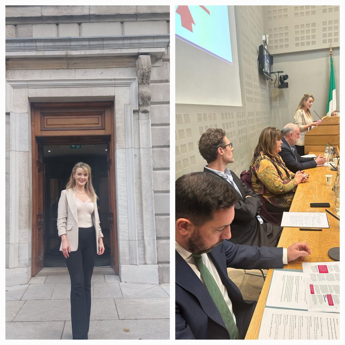 AineFitzgeraldA's tweet image. Very good turnout at an Oireachtas briefing at Leinster House today where I spoke on behalf of Iconic Media on the threats to local journalism, followed by a very insightful panel discussion on defamation with @McConnellDaniel @RuadhanIT @daveoconnell1 &amp;amp; @noirinhegarty