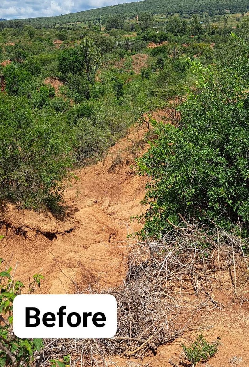 NakuruCountyGov's tweet image. Reopening once impassable rural roads doesn&apos;t just change the scenery; it unlocks possibilities, links communities, and drives development. 
Moricho-Bongoloia Road, Visoi Ward, Rongai Sub-county
#FocusedOnServiceDelivery 
#TransformingNakuru