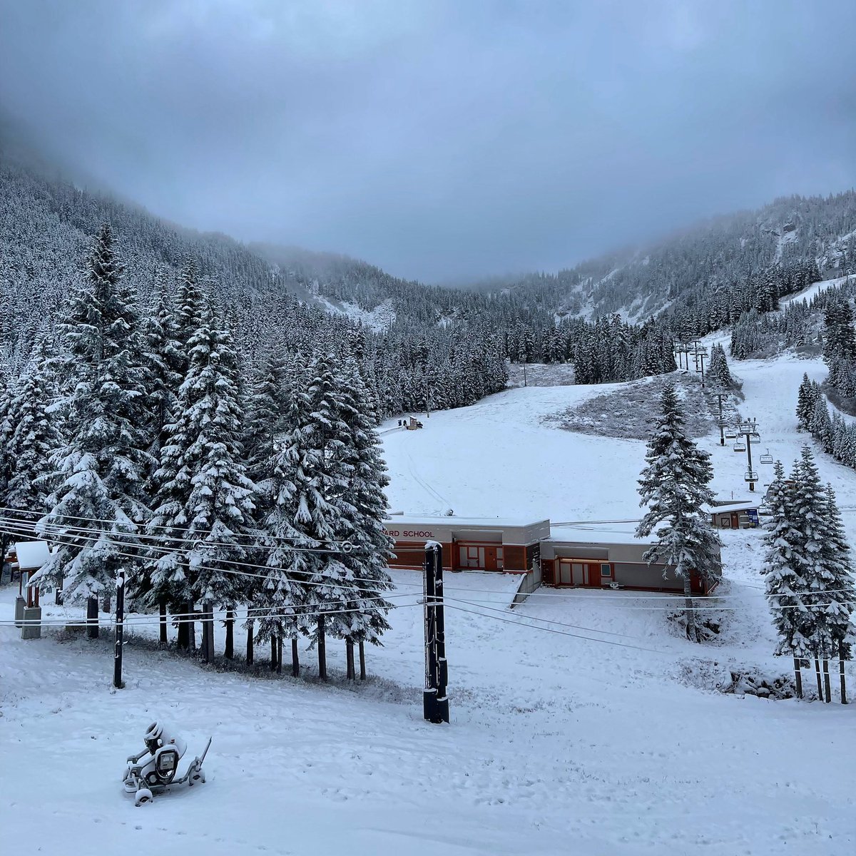Stevens Pass tweet media