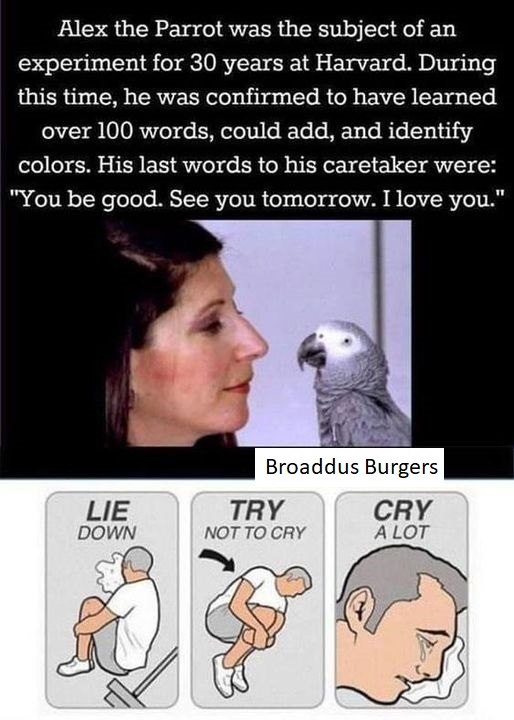 OrwellNGoode's tweet image. 