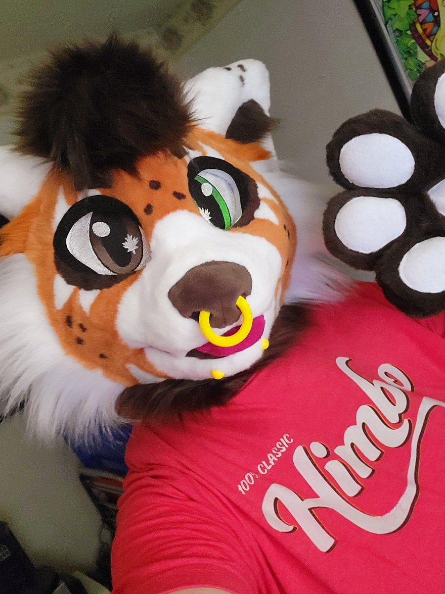 TimbitsFurry's tweet photo. Guess what arrived? Gotta go take good selfies in this baby ASAP  because I only have this dorky one 🤣

#timbitsfurry #timbitstheredpanda #furry #fursuit #redpandafurry https://t.co/GWel19Ec21