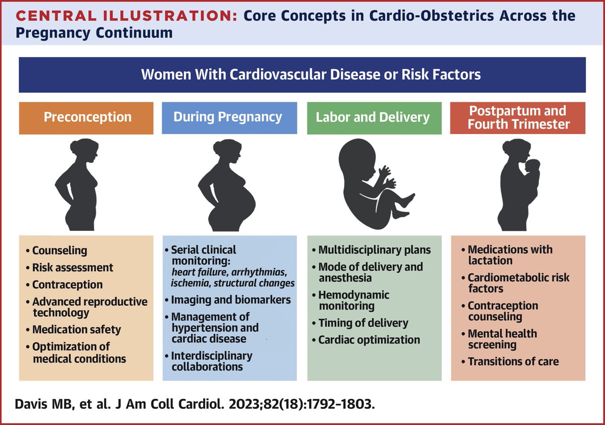 Cardio-obstetrics training should be incorporated into cardiovascular disease fellowship programs with the goal of improving maternal and fetal outcomes Read more from this important work: bit.ly/3Med3ff #JACC #CardioObstetrics #CVD #MedEd #ACCFIT #ACCCardioOB #ACCWIC