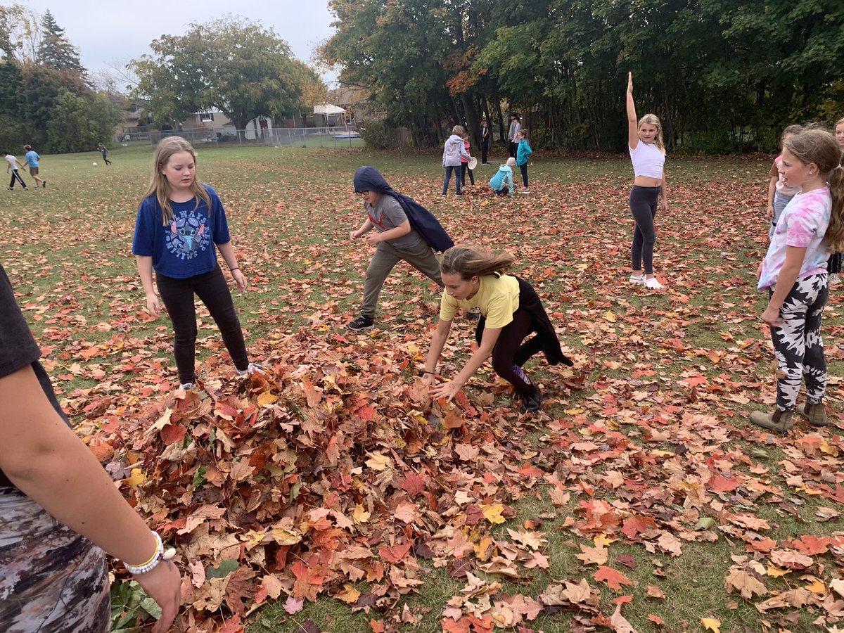 alcdsb_olmc's tweet image. LEAVING them to their own fun! #fallfun #leafpile #ALCDSBBlessed @alcdsb