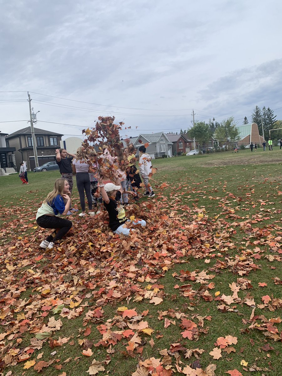 alcdsb_olmc's tweet image. LEAVING them to their own fun! #fallfun #leafpile #ALCDSBBlessed @alcdsb