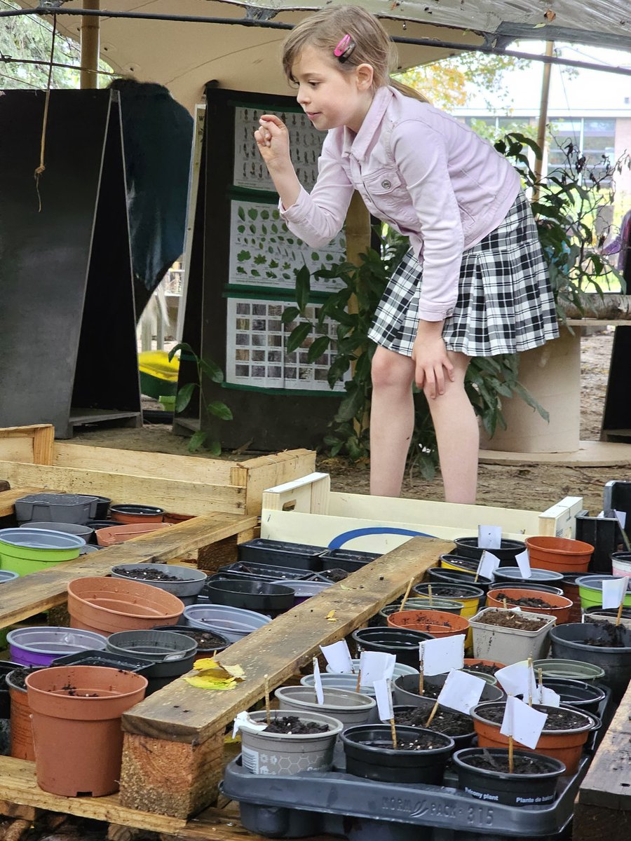 Charlie Phillips tweet media