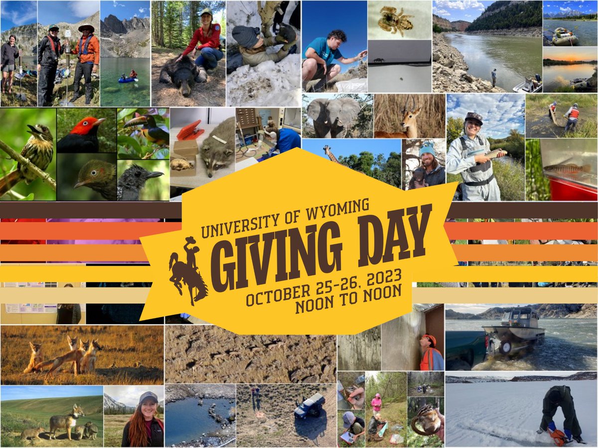 UWyo Zoology & Physiology tweet media