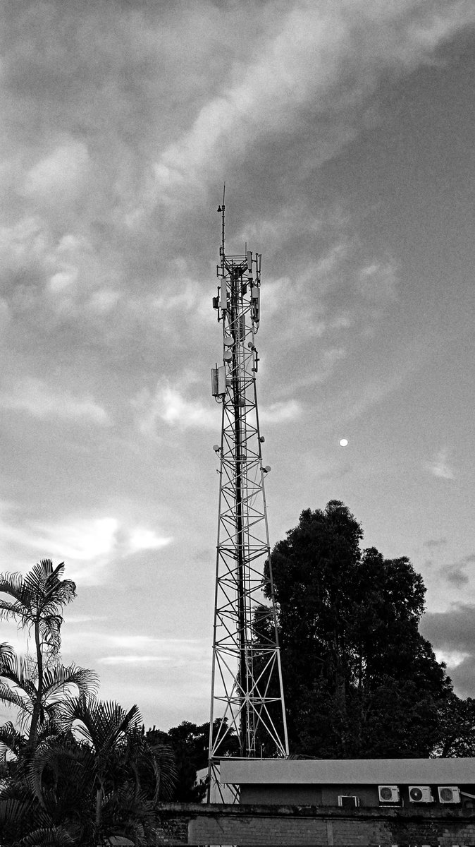 Enjoy every little things ✨