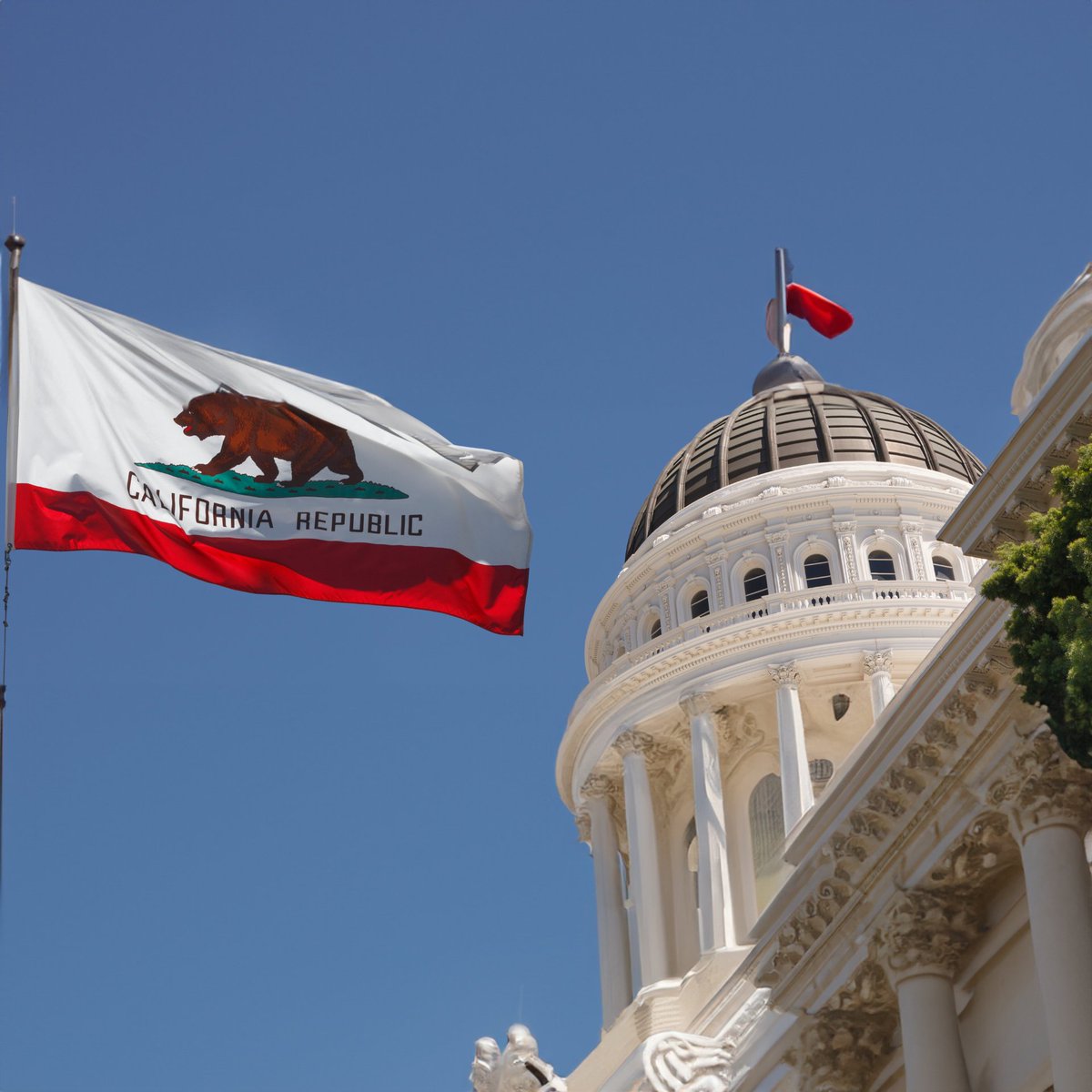 SkollFoundation's tweet image. California's new climate disclosure policy sets national standards for transparency, risk management, &amp;amp; responsible investing, according to #SkollAwardee @Ceresnews. Learn more: ➡️ skoll.wf/3Faht2S