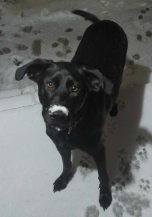 DaveMurYYC's tweet photo. #SnowFace https://t.co/TZEBZ8isrS