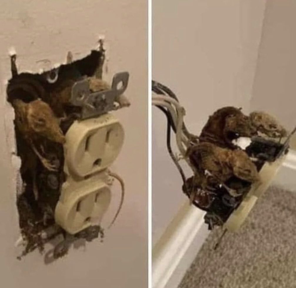 Creepy.org tweet media