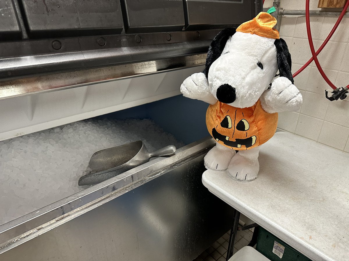 SnoopyWhereRU's tweet photo. I love ICE! Brrrrr 🥶! @Anadgar16 @Pride_Mustangs https://t.co/uovAxz3dBF