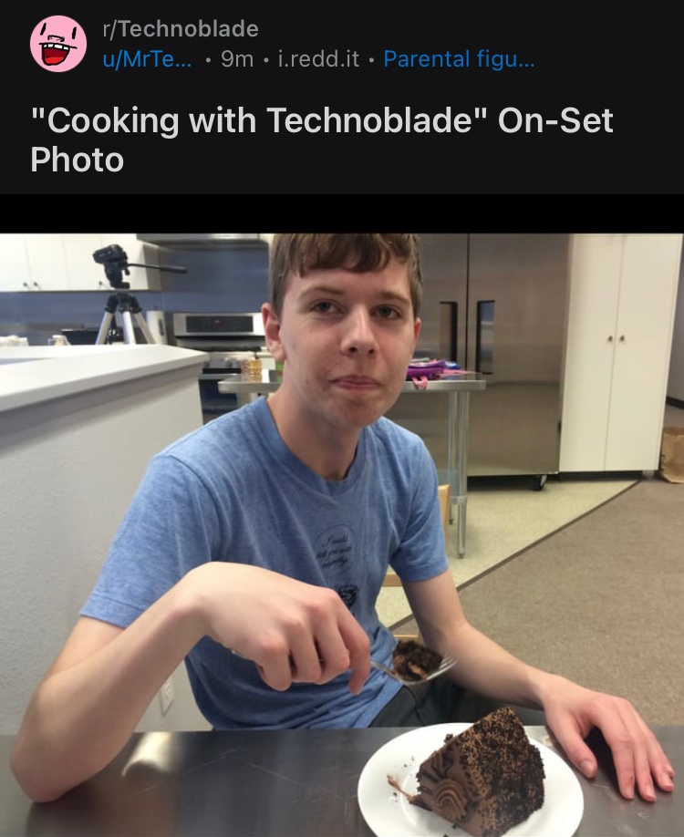 it's been a month please give us a new video or stream : r/Technoblade