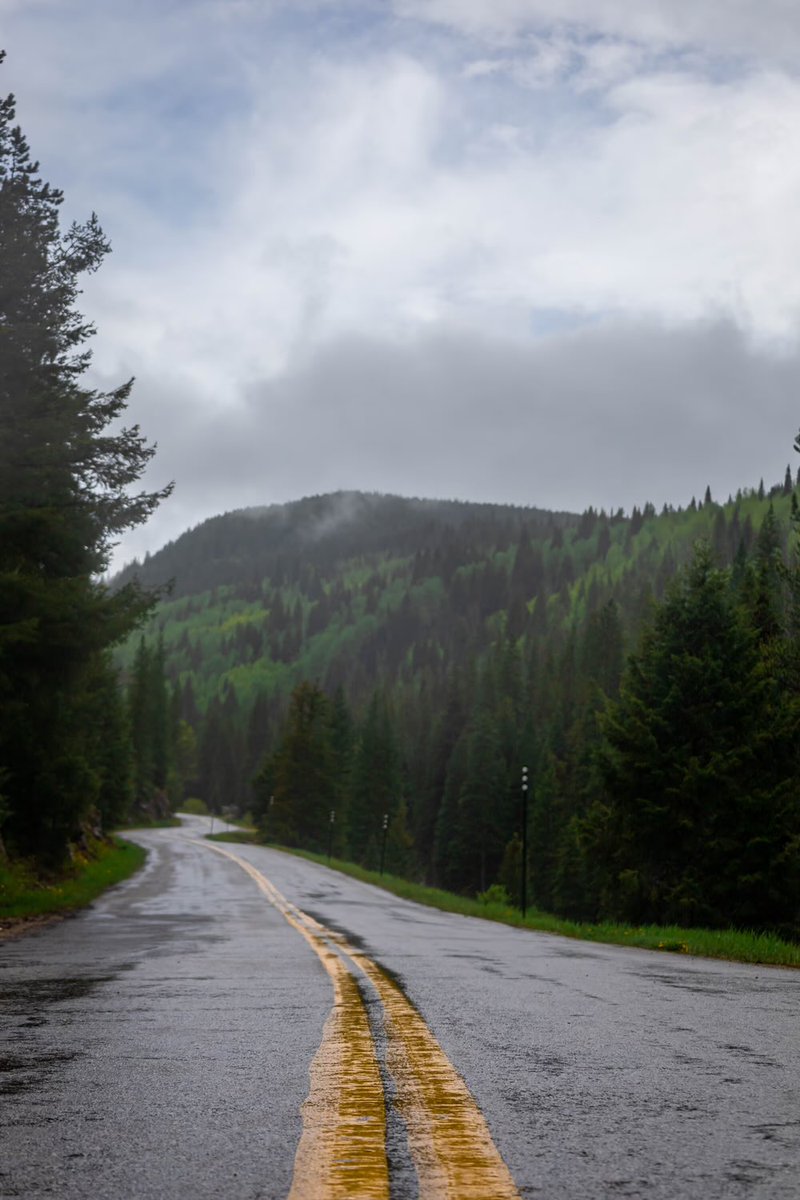heykoosh's tweet photo. Double Up x @alienfrens #8996 + @PhotoFrens_ " down that road "

✅Like &amp; RT
✅ Follow @nftkoosh @kooshgivesback @PhotoFrens_ @PAVEWizards @th3collective_  
 ✅Tag Frens

 ⚡️Winner Selected In 72hrs - 10/28/23 ⚡️ https://t.co/uj3QFwxOgM