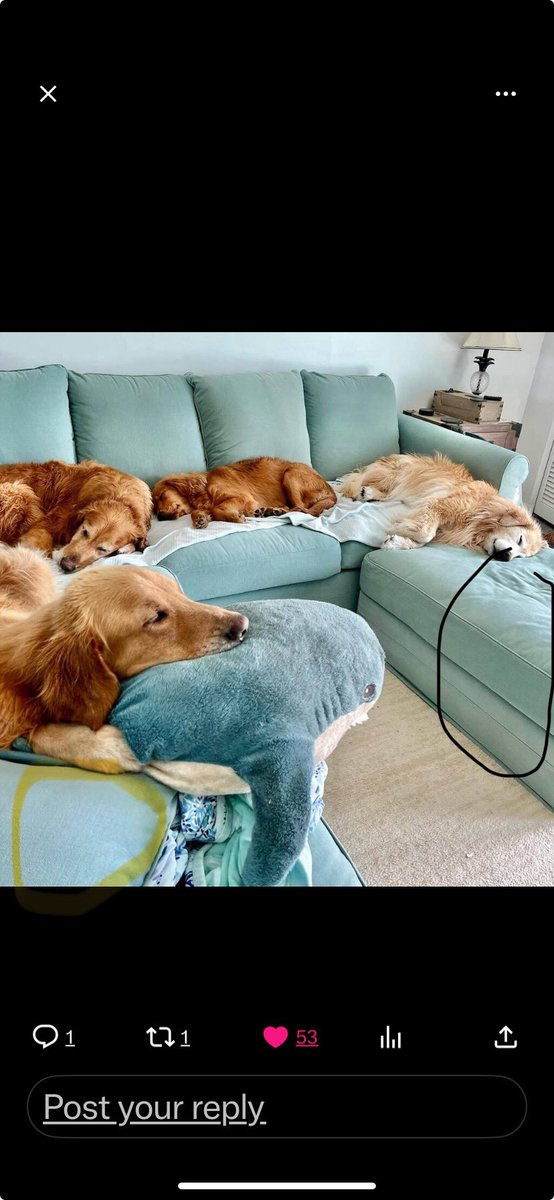 HLWillcox1's tweet photo. @TheGoldenRatio4 But wait! There is still room for one that might like to hang their head in the water bowl! (See yellow hi-lite) https://t.co/2I7QxcQvQd