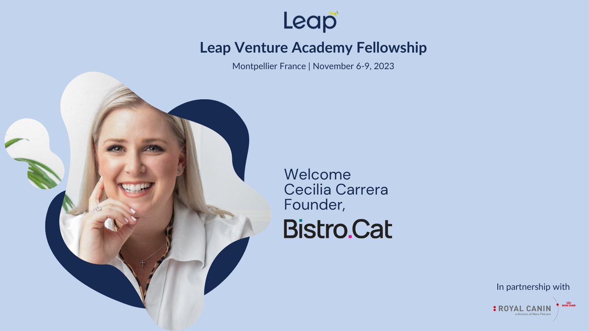 Leap Venture Studio & Academy tweet media