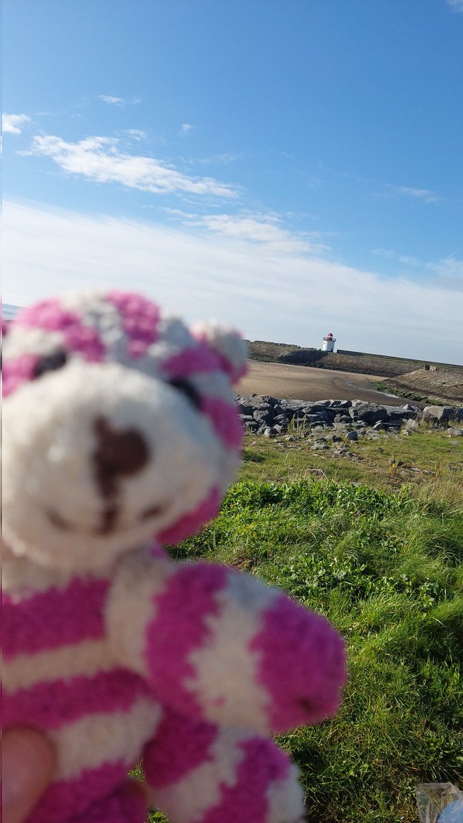Si_att's tweet photo. Walked from Llanelli to Burry Port in the glorious sunshine. 
#walkingforwellbeing 
#WalkMoreWorryLess
#Walk1000Miles2023
#WalkingInWales
#WalesCoastPath https://t.co/UD7Yp4He97