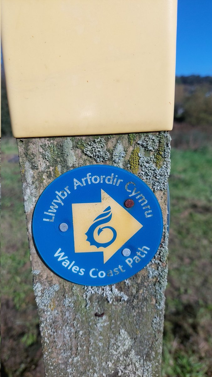 Si_att's tweet photo. Walked from Llanelli to Burry Port in the glorious sunshine. 
#walkingforwellbeing 
#WalkMoreWorryLess
#Walk1000Miles2023
#WalkingInWales
#WalesCoastPath https://t.co/UD7Yp4He97