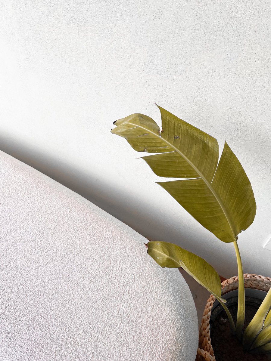 ⠀⠀ يا أرق شخص نهبّ قلبي ☁️ ."