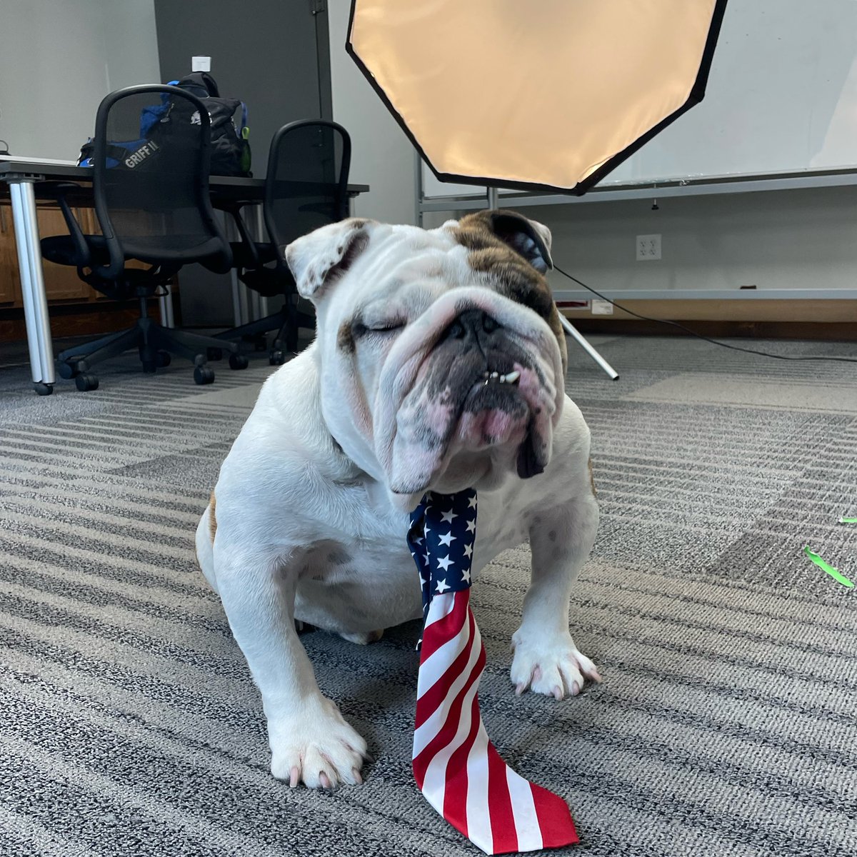 DrakeUGriff's tweet photo. Needed a campaign headshot. ‘Tis the season. 🇺🇸#VoteGriff @DrakeUniversity https://t.co/wqKHFejAjl