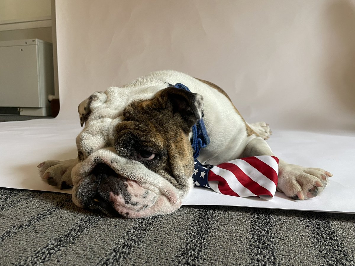 DrakeUGriff's tweet photo. Needed a campaign headshot. ‘Tis the season. 🇺🇸#VoteGriff @DrakeUniversity https://t.co/wqKHFejAjl