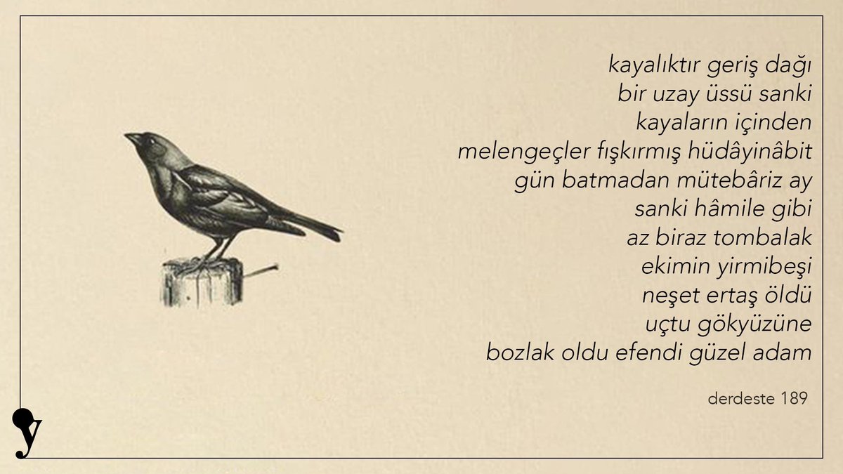 Derdeste #FerhanŞensoy