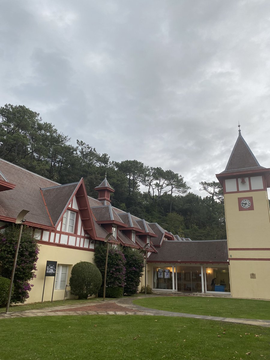 Rosa Ibán tweet media