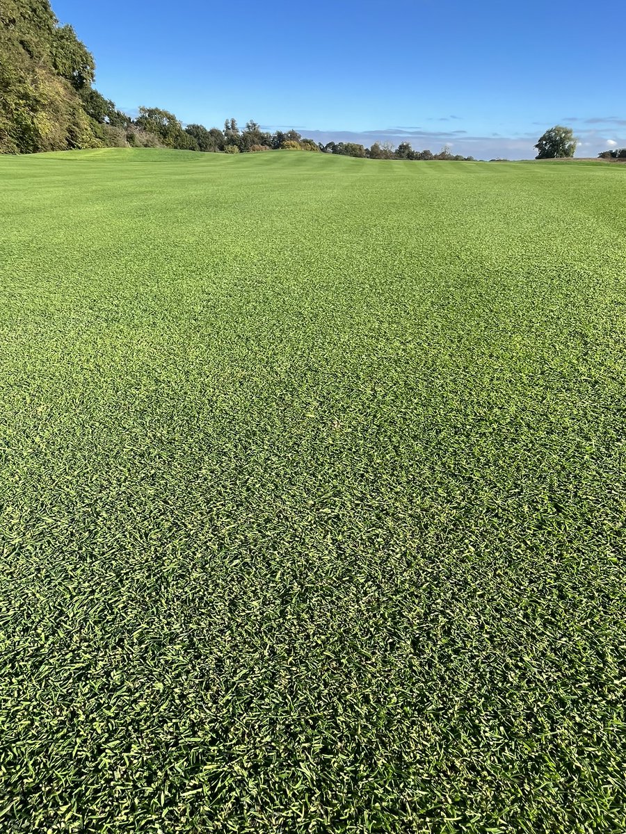 Lee Bishop tweet media