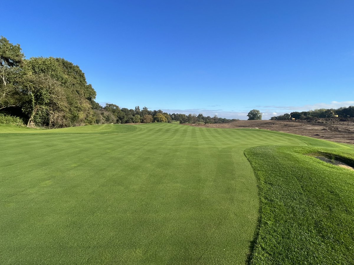 Short game green coming on nicely <a href="/BurnhamBgolf/">Burnham Beeches Golf</a> down to 5mm and happy. Not one spec of fusarium so far🤞🏻 <a href="/GreasleyGolf/">John Greasley Ltd</a>  <a href="/consolidateTurf/">Consolidate Turf</a>  <a href="/MtnView_Seeds/">Mountain View Seeds</a> <a href="/ICL_Turf/">ICL Growing Solutions - Turf & Landscape 🇬🇧🇮🇪</a> <a href="/avoncropamenity/">Avoncrop Amenity Products Ltd</a>
