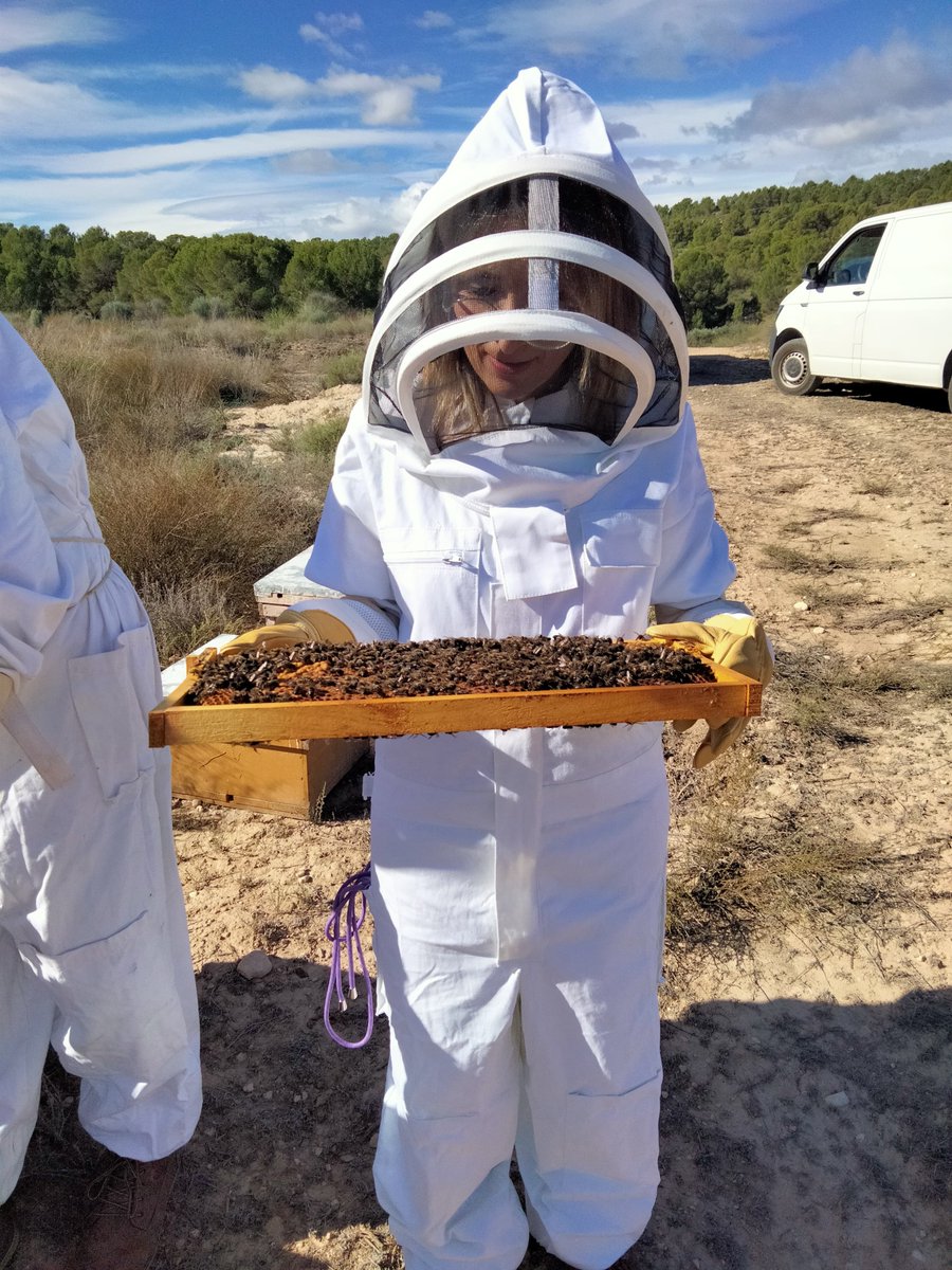 Agrinnova1's tweet photo. 🐝Hoy hemos visitado las colmenas del GO INNOdeAPI, con motivo de la visita de cierre del proyecto "Innovación y desarrollo apícola en la Región de Murcia". @RM_Agua @EIPAGRI_SP @redPAC_ https://t.co/pXbVdDaFcm