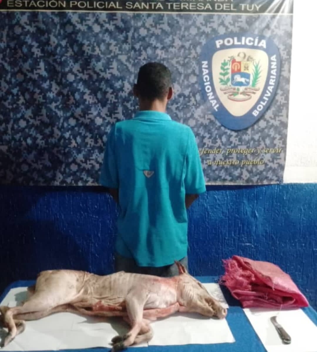 Cuerpo de Policía Nacional Bolivariana. tweet media