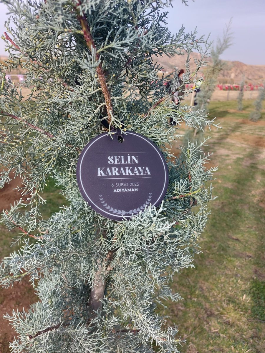 enverkarakaya's tweet photo. Annen bugün de Ankara'da adınıza ağaç dikti babacığım, yine Hayal ve Serin'le yan yanaymışsınız. Dünyanın kaç yerinde toprağa dikilip yeniden ve yenidem doğacaksınız bilmiyorum ama ben onları karanlığa gömmeden ölmeyeceğim söz veriyorum ❤️
#isiasortakdavamız https://t.co/t76ozODukL