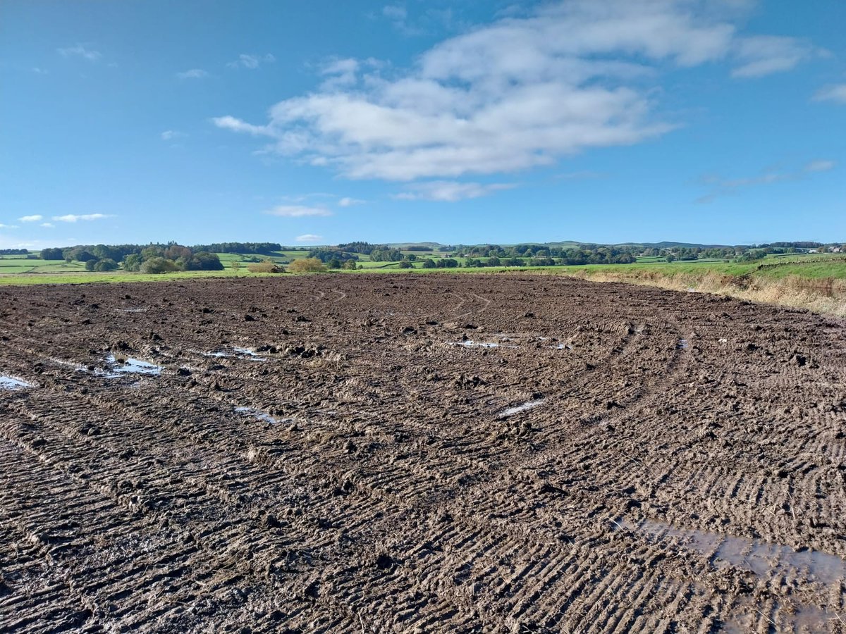 Ribble Rivers Trust tweet media