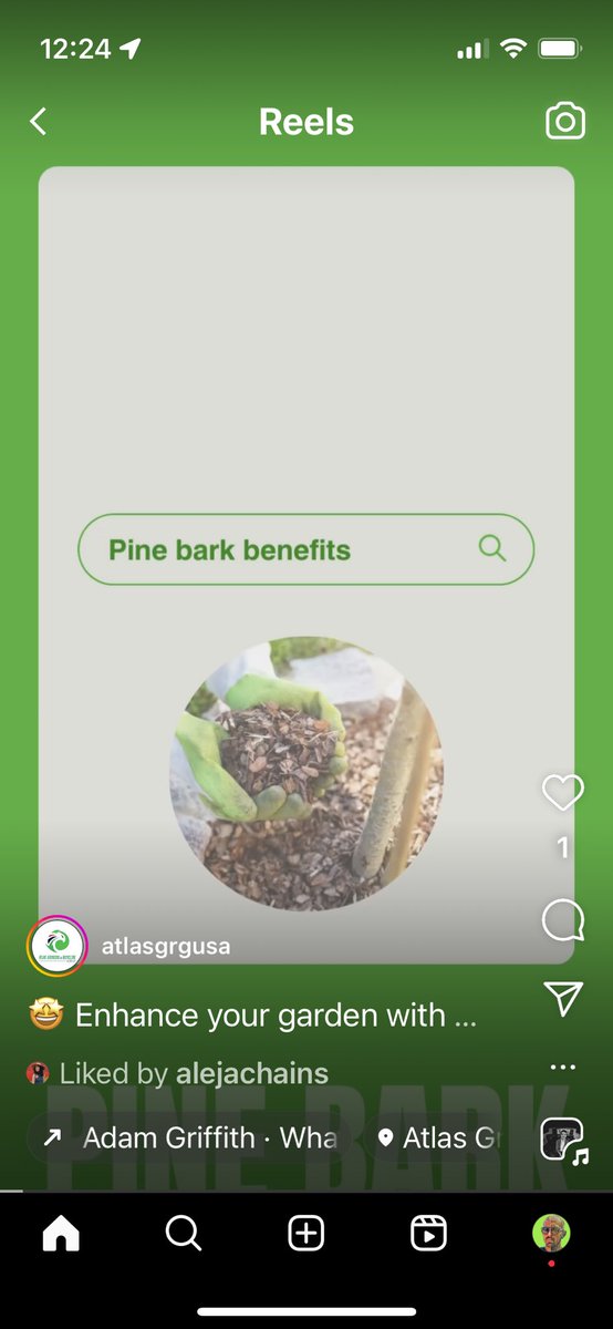 Big Promoting Inc tweet media