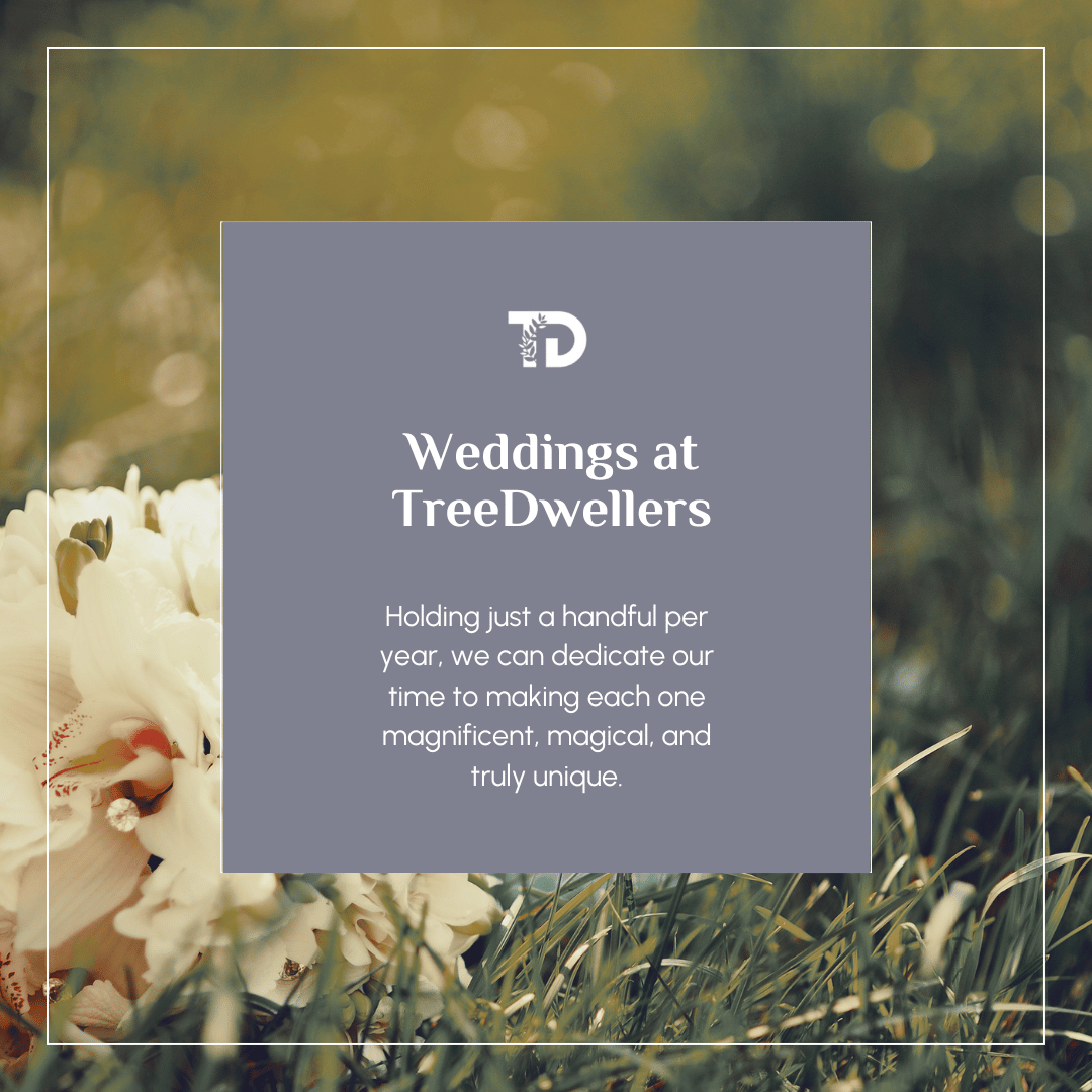 TreeDwellers is available to book for woodland weddings - turning wanderlust into true love. ❤️🌳

Holding just a handful per year, we can dedicate our time to making each one magnificent, magical, and truly unique.💍👰‍♀️🤵

#IAmTreeDwellers #ForestWedding #WoodlandWedding