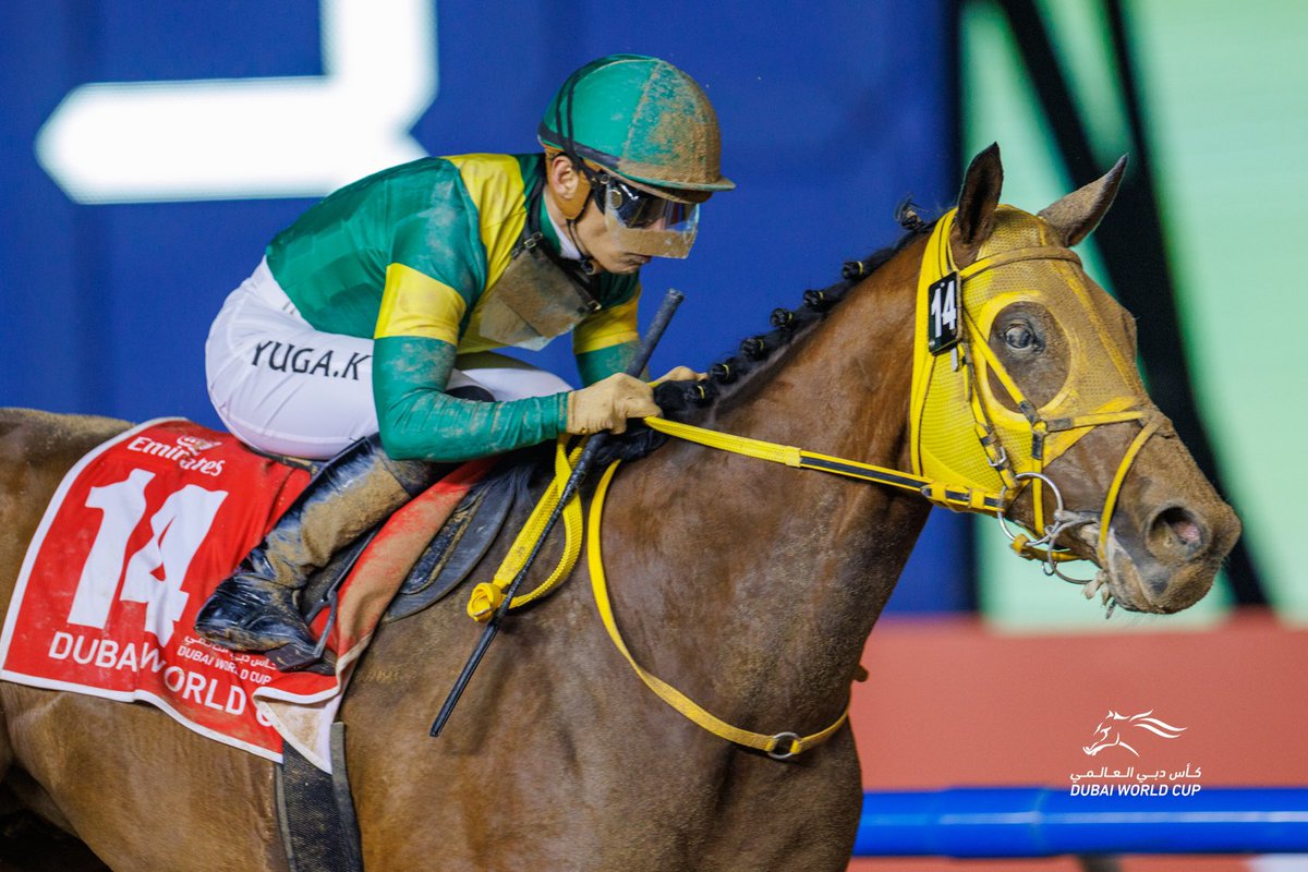 WHR's tweet photo. π―π΅ The Japanese are eyeing a @BreedersCup Classic victory π
π₯ USHBA TESORO γ¦γ·γ₯γγγ½γΌγ
ππ» DERMA SOTOGAKE γγ«γγ½γγ¬γ±
#BC23 #PreEntries #竢馬
πΈ @RacingDubai https://t.co/NrJDw9KMMj