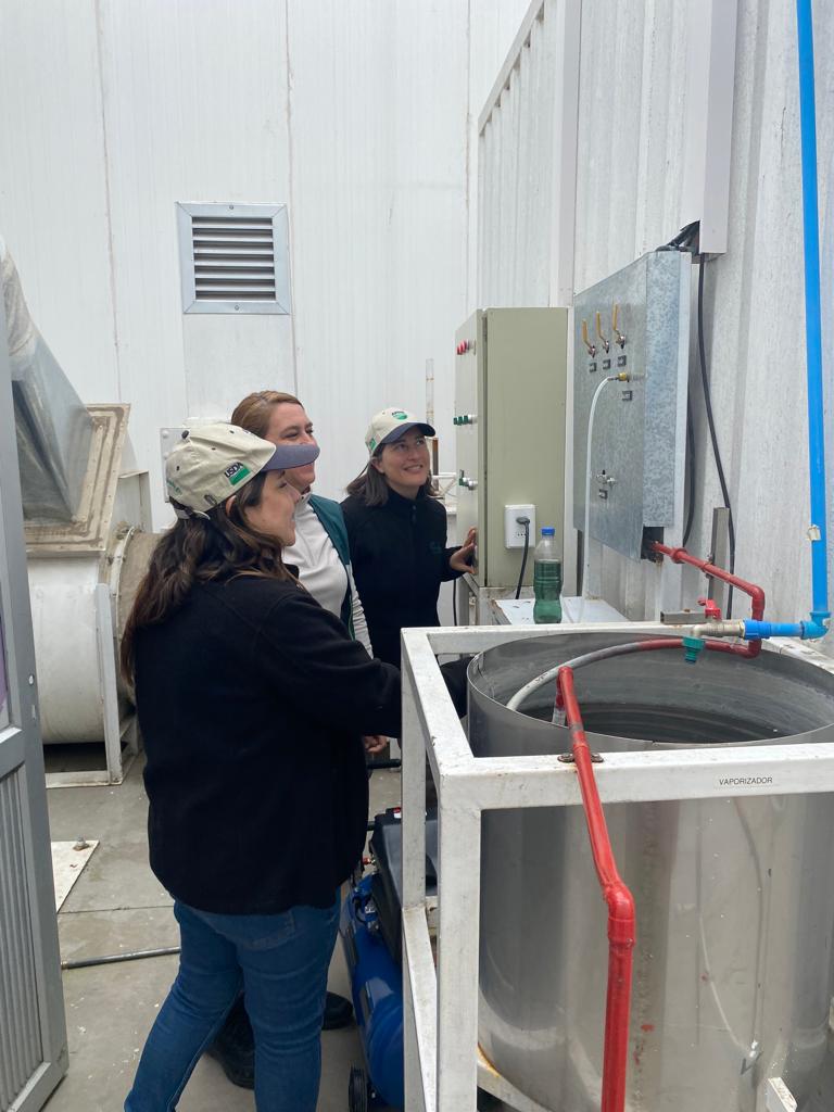 sagchile's tweet image. Con el fin de re habilitar plantas agroexportadoras para la presente temporada, funcionarios de @sagchile #Linares y del departamento de agricultura de 🇺🇸 @USDA  #APHIS, visitan empresas de fruta de la provincia.