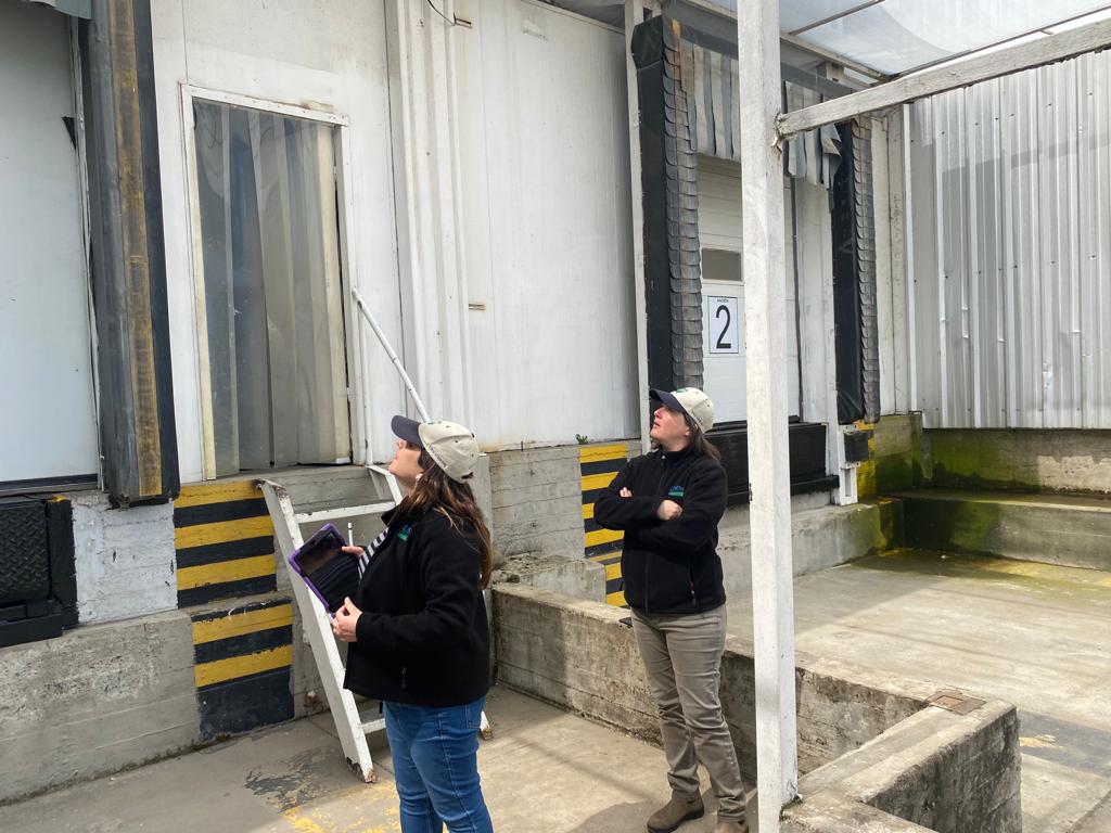 sagchile's tweet image. Con el fin de re habilitar plantas agroexportadoras para la presente temporada, funcionarios de @sagchile #Linares y del departamento de agricultura de 🇺🇸 @USDA  #APHIS, visitan empresas de fruta de la provincia.